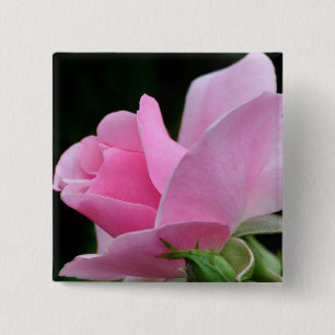Pink Rose Flower 2 Inch Square Button