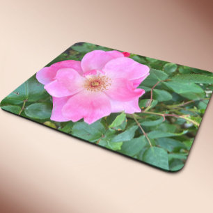 Pink Rose Flower Bloom   Mouse Pad