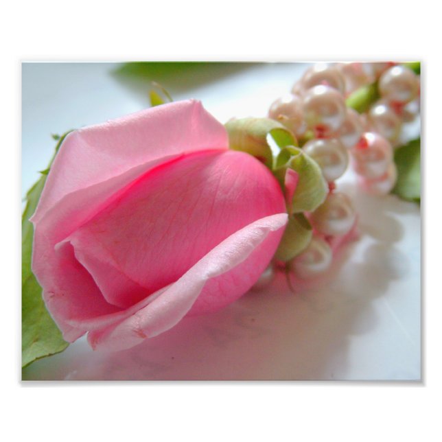 Pink rose flower bud with pearl necklace photo print (Front)