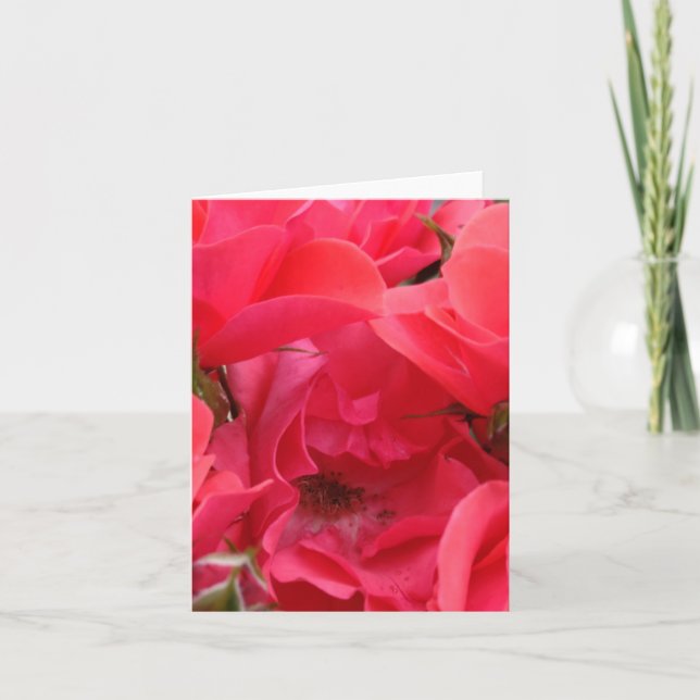 Pink rose flower card (Front)