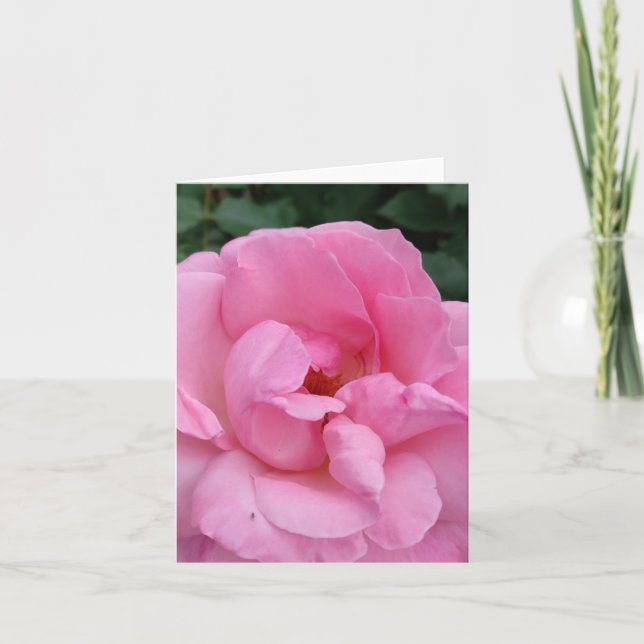 Pink rose flower card (Front)