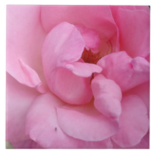 Pink rose flower ceramic tile