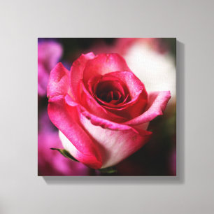 Pink Rose Flower Floral Canvas Print