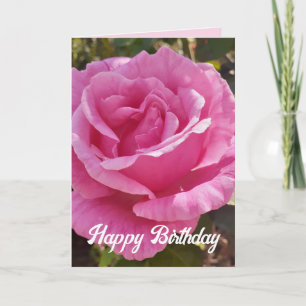 Pink Rose Flower Floral Roses Card