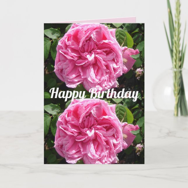 Pink Rose Flower Floral Vintage Roses Card (Front)