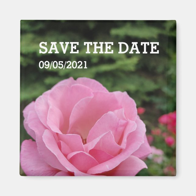 Pink rose flower magnet (Front)
