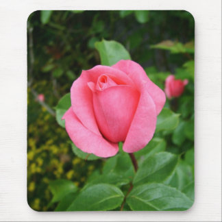 pink rose flower mouse pad