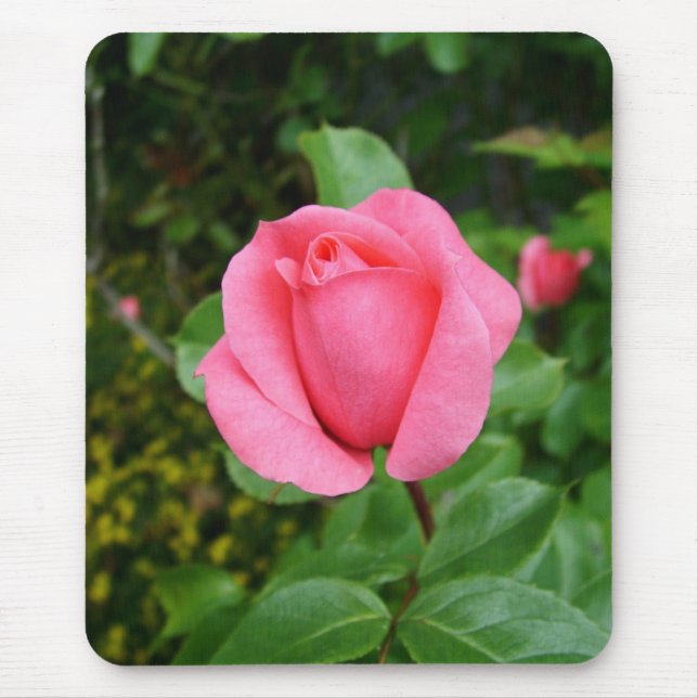 pink rose flower mouse pad (Front)