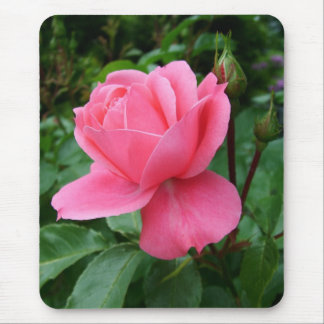 pink rose flower mouse pad