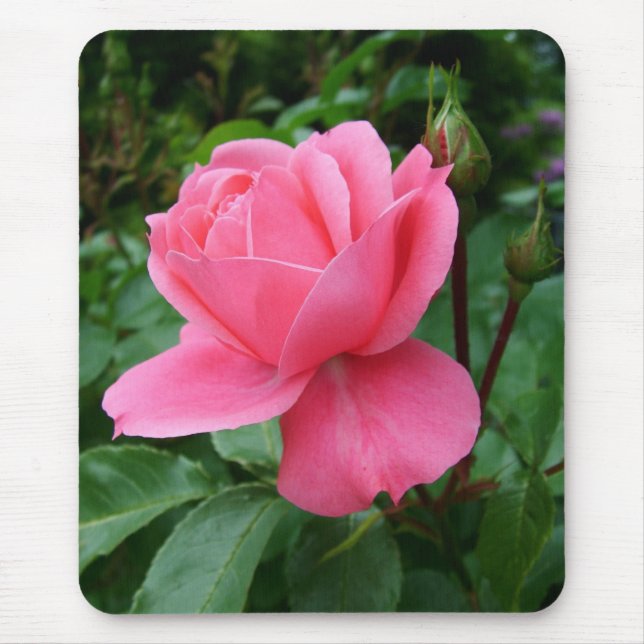 pink rose flower mouse pad (Front)