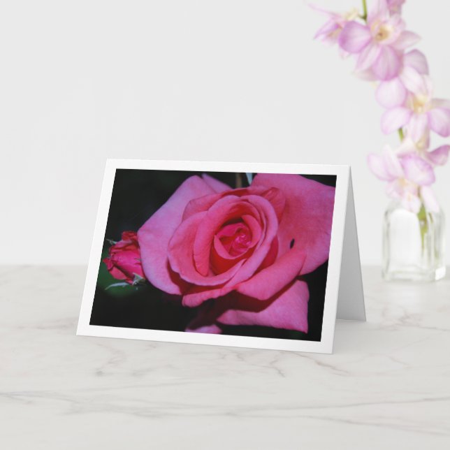 Pink Rose Flower Portrait Card (Orchid)