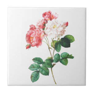 Pink Rose Flower Vintage Botanical Print Tile