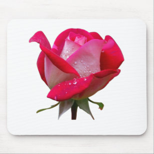 pink rose flower with water drops floral vintage mouse pad