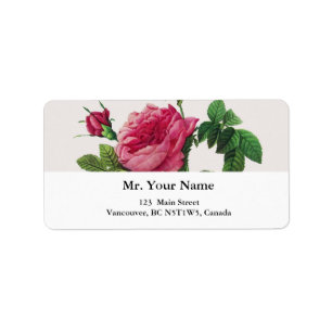 Pink Rose flowers, Pierre Joseph Redouté Label
