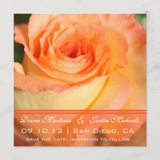 Pink Rose Flowers Save the Date