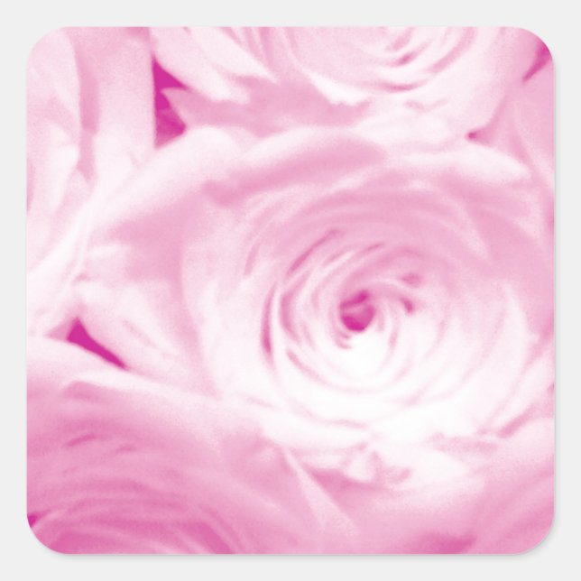 Pink rose flowers square sticker for wedding favou (Front)