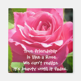Pink Rose Friendship Magnet