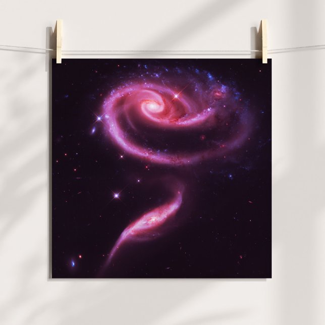 Pink Rose Galaxies Celestial Art Tinted Photo Poster (Pink Rose Galaxies Poster)