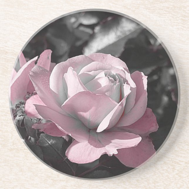 Pink Rose Garden Coaster (Front)