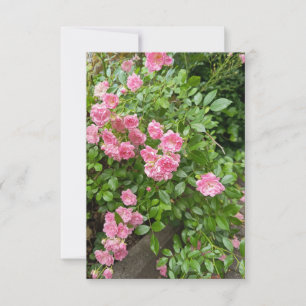 Pink Rose Garden Floral Card