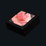 Pink Rose Gift Box<br><div class="desc">Pastel pink rose blossom.</div>