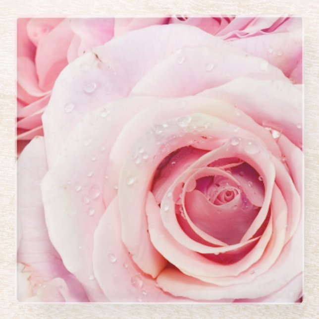 Pink Rose Glass Coaster (Front)