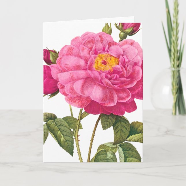 Pink Rose Greeting Card (Front)
