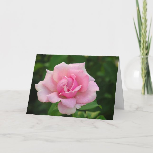 Pink Rose Greeting Card (Front)