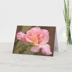 Pink Rose Greeting Card