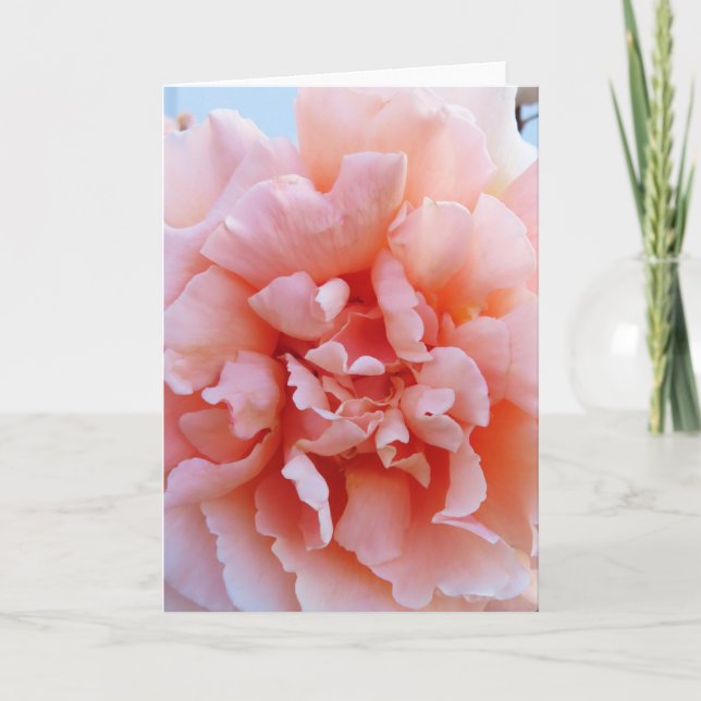 Pink Rose Greeting Card (Front)
