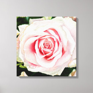 Pink Rose Hand-drawn Pencil Crayon Art Print