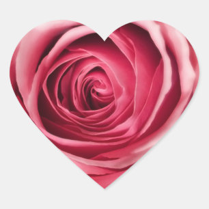 Pink Rose Heart Shape Stickers