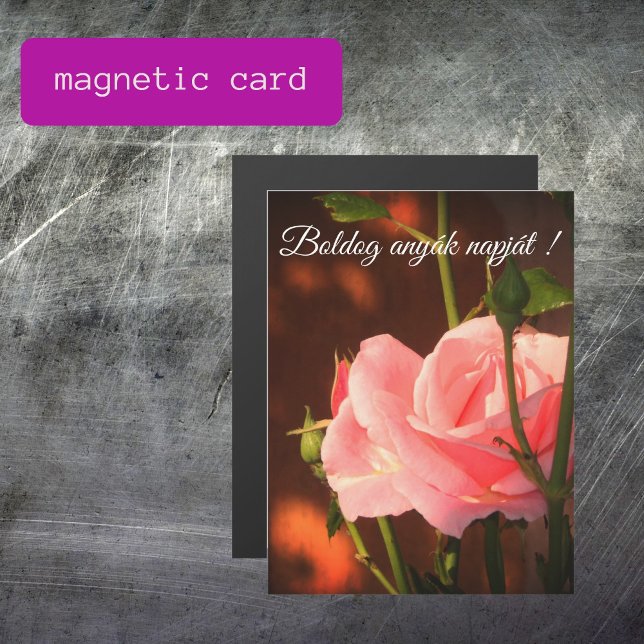 Pink rose Hungarian Mother's  Day  - magnetic card (Creator Uploaded)