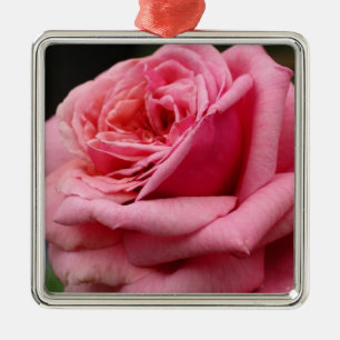 Pink Rose I Pretty Floral Photography Metal Ornament
