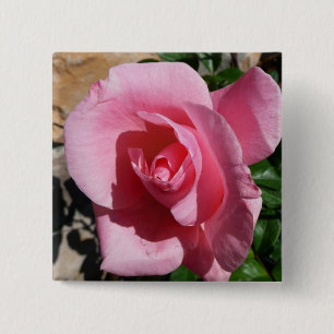 Pink Rose III Garden Floral 2 Inch Square Button