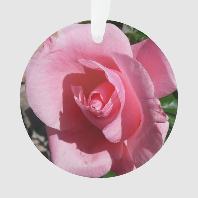 Pink Rose III Garden Floral Ornament (Front)
