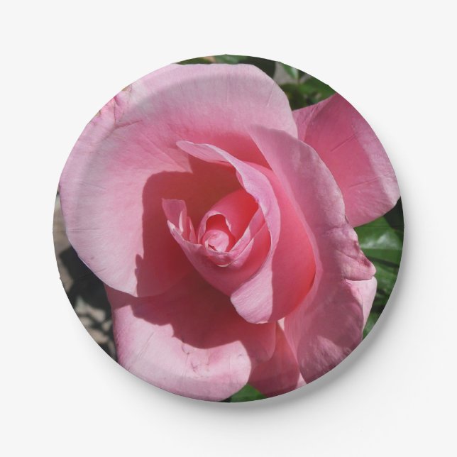 Pink Rose III Garden Floral Paper Plate (Front)