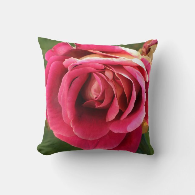 Pink rose in a garden throw pillow (Front)