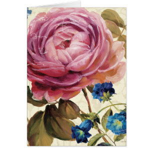 Pink Rose in Full Bloom