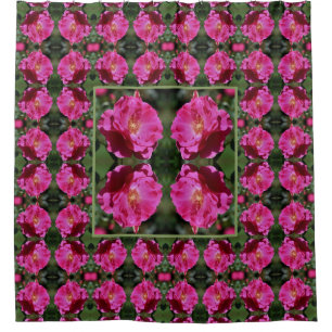Pink Rose In Full Bloom Abstract Pattern