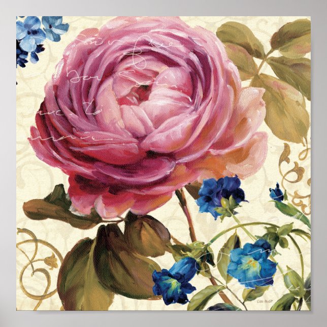 Pink Rose in Full Bloom Poster (Front)