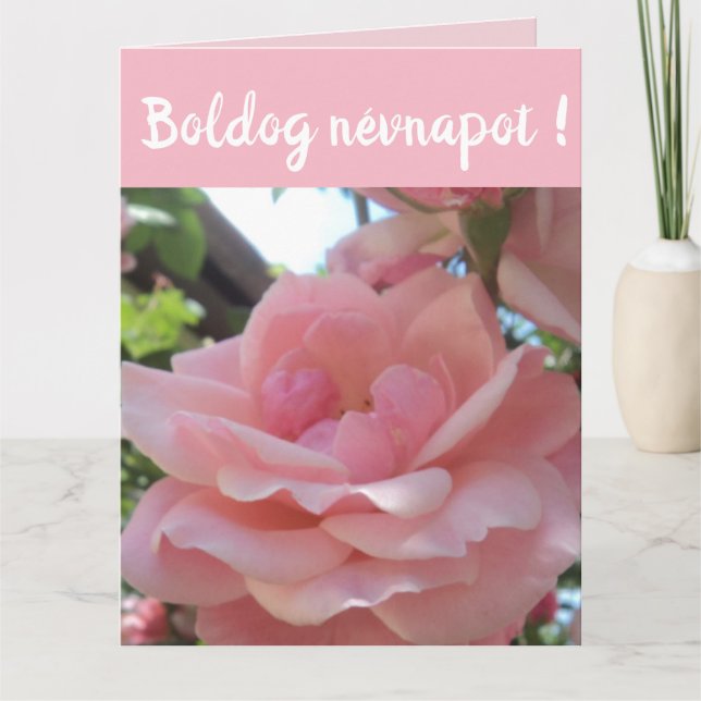 Pink rose in the garden  - Hungarian name day Card (Front)