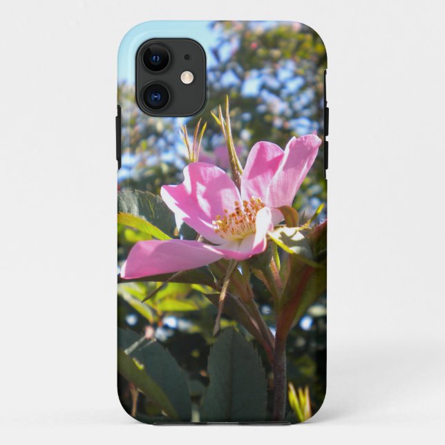 Pink Rose iPhone 5 case (Back)