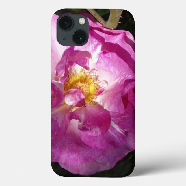 Pink Rose iPhone 6/6s, Tough Xtreme Case-Mate iPhone Case (Back)