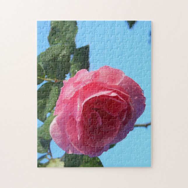 Pink Rose Jigsaw Puzzle (Vertical)
