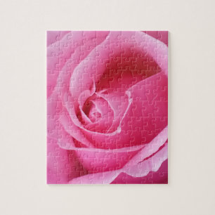 Pink Rose Jigsaw Puzzle