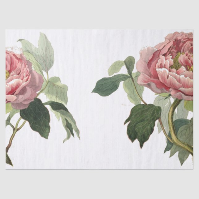 Pink Rose Junk Journal Elements Sheet (Front)