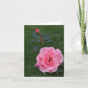 Pink Rose, Keeping In Touch Card
