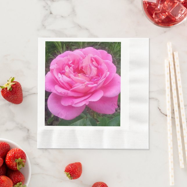 Pink Rose 'Leonardo Da Vinci'   Napkin (Insitu)