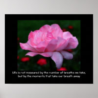 Pink Rose Life Attitude Quote Inspirational